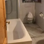 Mayerbauer بيدينغ